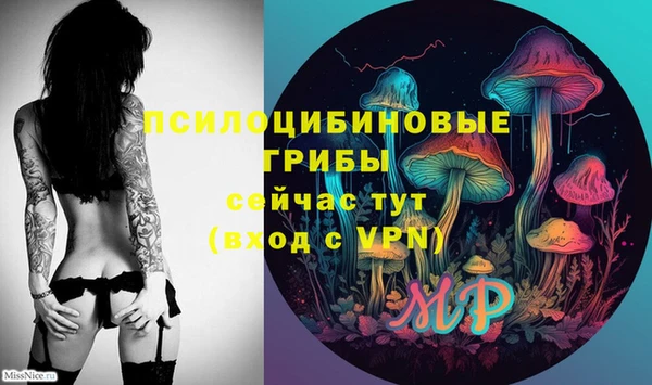 скорость Заволжье