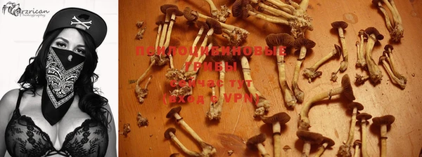 эйфоретик Заводоуковск