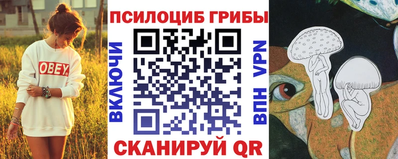 Псилоцибиновые грибы мицелий  Купить закладки  Макаров 